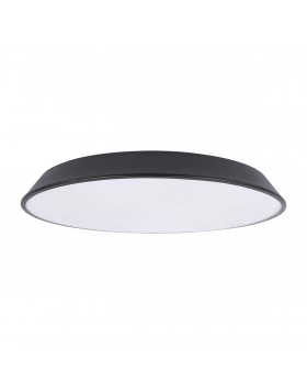 10226 Black Потолочный светильник LOFT IT Brim