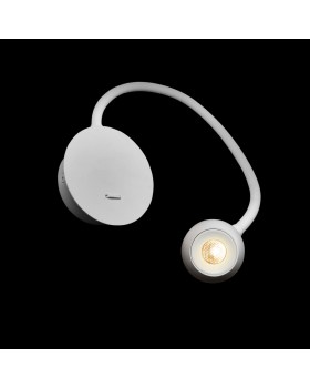 10254 White Настенный светильник LOFT IT Point-foto8