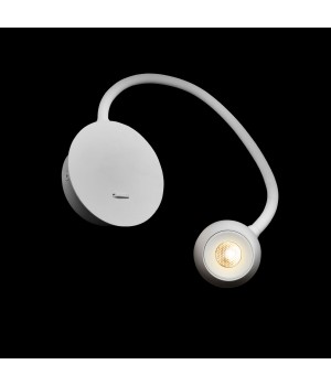 10254 White Настенный светильник LOFT IT Point-foto8