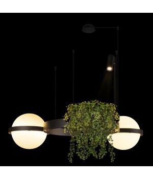 10121/2 Dark grey Подвесной светильник LOFT IT Jardin-foto4