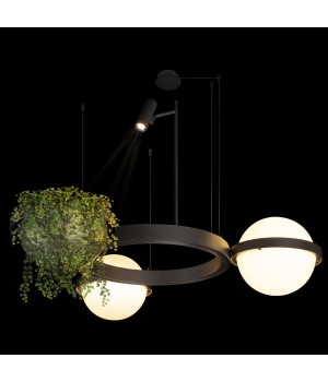 10121/2 Dark grey Подвесной светильник LOFT IT Jardin-foto6