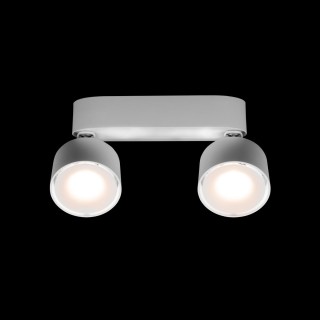 10323/2A White Накладной светильник LOFT IT Focus-foto4