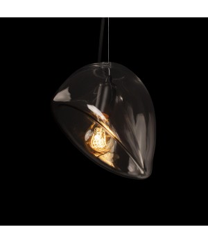 10293 Clear Подвесной светильник LOFT IT Gallo-foto6