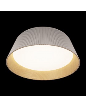 10224 White Потолочный светильник LOFT IT Evans-foto4