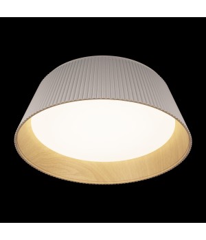 10224 White Потолочный светильник LOFT IT Evans-foto4