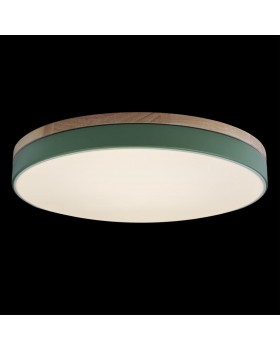 10001/36 Green Потолочный светильник LOFT IT Axel-foto2