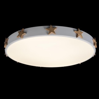 10006/36 White Потолочный светильник LOFT IT Axel-foto2