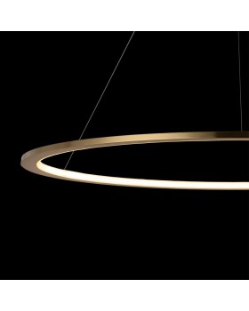 10014L Подвесной светильник LOFT IT Ring-foto6