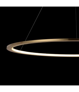 10014L Подвесной светильник LOFT IT Ring-foto6