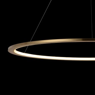 10014L Подвесной светильник LOFT IT Ring-foto6