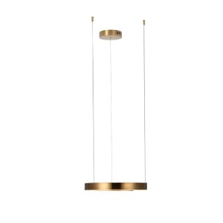 10013S Подвесной светильник LOFT IT Ring-foto3