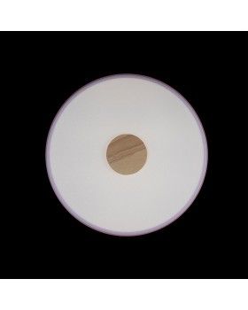 10003/24 Pink Потолочный светильник LOFT IT Axel-foto4