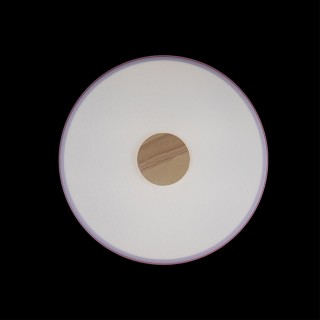 10003/24 Pink Потолочный светильник LOFT IT Axel-foto4