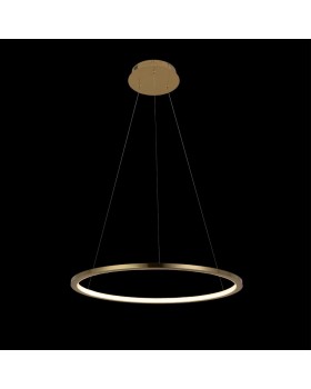 10014M Подвесной светильник LOFT IT Ring-foto2