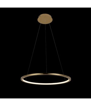 10014M Подвесной светильник LOFT IT Ring-foto2