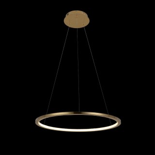 10014M Подвесной светильник LOFT IT Ring-foto2