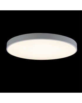 10002/48 White Потолочный светильник LOFT IT Axel-foto2