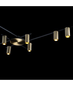 8120C-10 Потолочный светильник LOFT IT Tribes-foto6