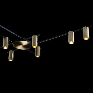 8120C-10 Потолочный светильник LOFT IT Tribes-foto6