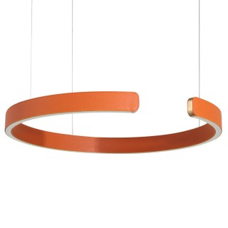 10025/400 Orange Подвесной светильник LOFT IT Ring-foto3