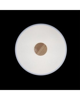 10003/24 White Потолочный светильник LOFT IT Axel-foto4