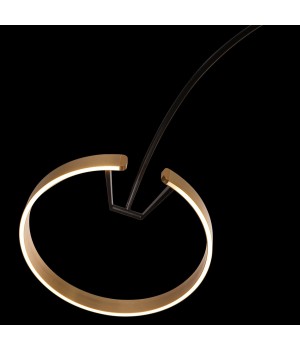 10027 Торшер LOFT IT Ring-foto4