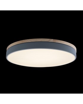 10001/36 Grey Потолочный светильник LOFT IT Axel-foto2