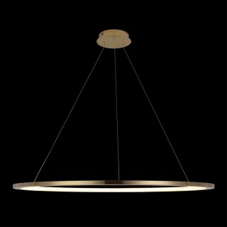 10014XXL Подвесной светильник LOFT IT Ring-foto4