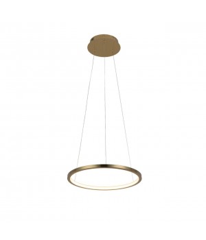 10014S Подвесной светильник LOFT IT Ring