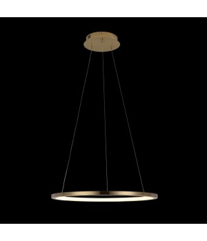 10014M Подвесной светильник LOFT IT Ring-foto4