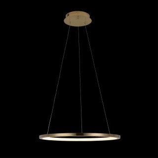 10014M Подвесной светильник LOFT IT Ring-foto4