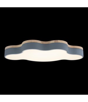 10005/36 Grey Потолочный светильник LOFT IT Axel-foto2