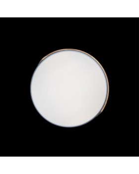 10004/36 Grey Потолочный светильник LOFT IT Axel-foto6