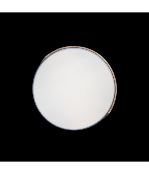 10004/36 Grey Потолочный светильник LOFT IT Axel-foto6