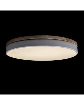 10001/36 White Потолочный светильник LOFT IT Axel-foto4