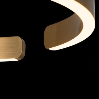 10013S Подвесной светильник LOFT IT Ring-foto5