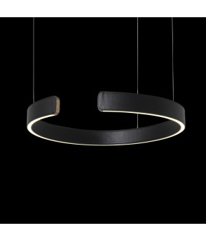 10025/400 Black Подвесной светильник LOFT IT Ring-foto4
