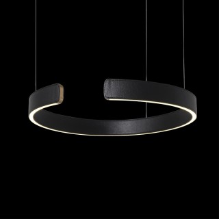 10025/400 Black Подвесной светильник LOFT IT Ring-foto4