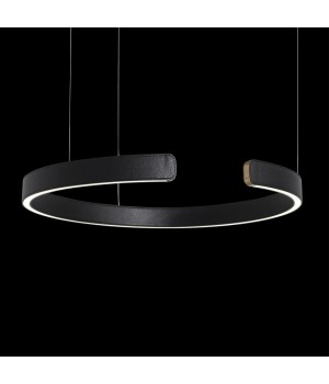 10025/600 Black Подвесной светильник LOFT IT Ring-foto4