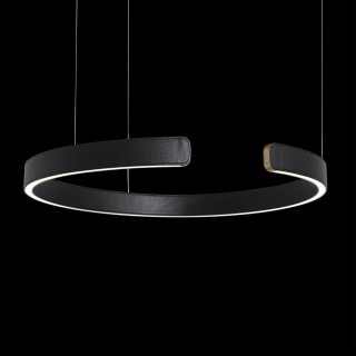 10025/600 Black Подвесной светильник LOFT IT Ring-foto4