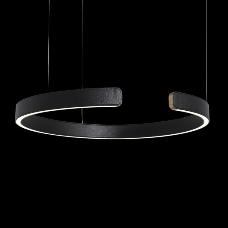 10025/600 Black Подвесной светильник LOFT IT Ring