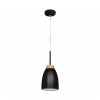 LOFT4402A-BL Подвесной светильник LOFT IT Watchman