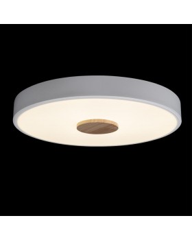 10003/24 White Потолочный светильник LOFT IT Axel-foto2