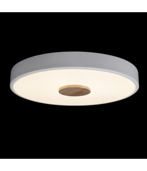 10003/24 White Потолочный светильник LOFT IT Axel-foto2