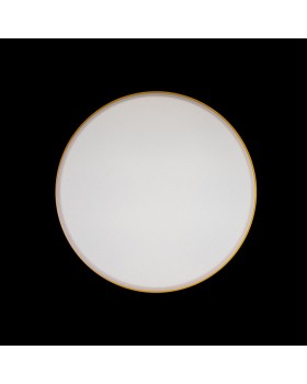 10002/24 Yellow Потолочный светильник LOFT IT Axel-foto6