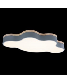 10005/36 Grey Потолочный светильник LOFT IT Axel-foto5