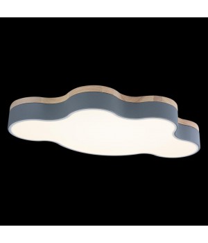 10005/36 Grey Потолочный светильник LOFT IT Axel-foto5