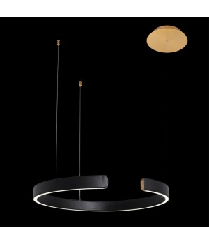 10025/600 Black Подвесной светильник LOFT IT Ring-foto2