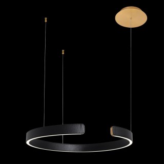 10025/600 Black Подвесной светильник LOFT IT Ring-foto2