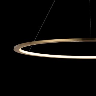 10014XL Подвесной светильник LOFT IT Ring-foto6